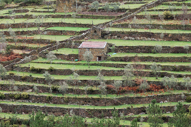 Serra da Estrela (E&scaron;trelos) gamtos parkas Portugalijoje. Kelionės į Portugaliją su LEHKO